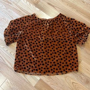 Madewell velvet top.